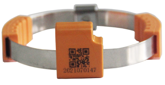 6412c553e73e6.png 6412c553e73e6.png